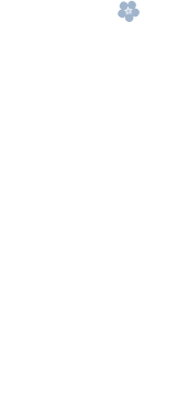 歌人・土屋文明に愛された銘菓。